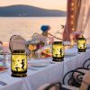 2 Pack Solar Fairy Lantern Garden Decorations - Warm White